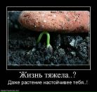 Денис Чириков фотография #18 (источник - https://vk.com/id9476982)
