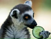 Фотография Гашпар Ольги