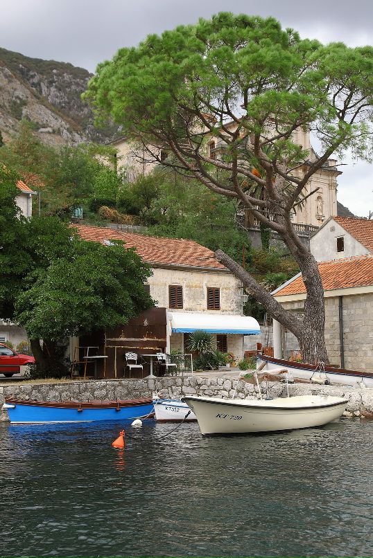 Дмитрий Старицын фотография #5