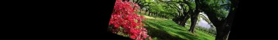 Елена Зачиняева фотография #2 (источник - https://vk.com/id34202879)