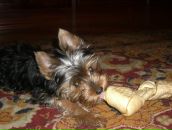 Фотография Дубковой Арины