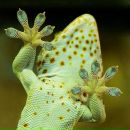 Фотография Труфанова Кирилла