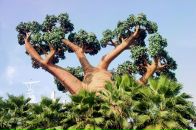 Reginald Fieldy фотография #35 (источник - https://vk.com/id69953)