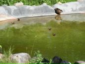 Фотография Ельциной Дарьи