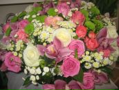 Фотография Сенаторов Игорь