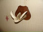 Константин Трегубенко фотография #18 (источник - https://vk.com/id1619190)