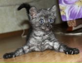 Фотография Карповой-Сизовой Елены