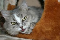 Сандра Ищенко фотография #4 (источник - https://vk.com/id854765)