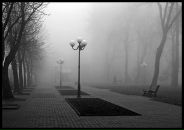 Фотография Дёминой Александры