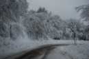 Руслана Кулішова фотография #3 (источник - https://vk.com/id30209740)