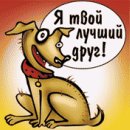 Радіон Синицький фотография #23 (источник - https://vk.com/id60458846)