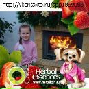 Христуся Константинів фотография #10 (источник - https://vk.com/id96277993)