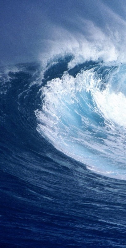 Bio Hacking фотография #43