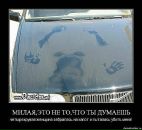 Софья Артюх фотография #27 (источник - https://vk.com/id462645)