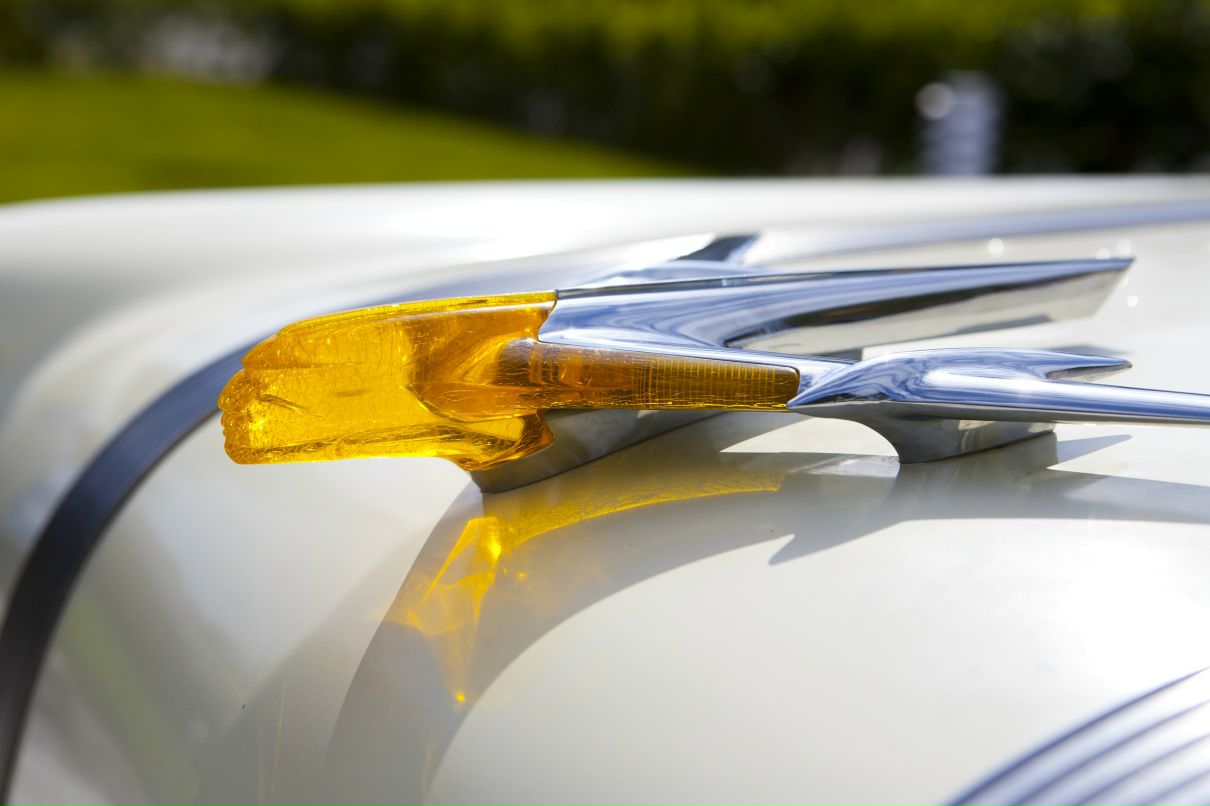 Дарья Горячева фотография #47