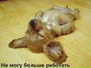 Фотография Дюкарева Дмитрия