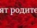 Міша Мельниченко фотография #15 (источник - https://vk.com/id114095351)