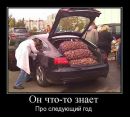 Grisha Semashko фотография #16 (источник - https://vk.com/id3121396)