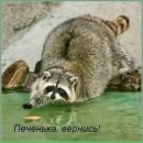 Фотография Романова Cepera