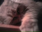 Фотография Вдовиной Ксении