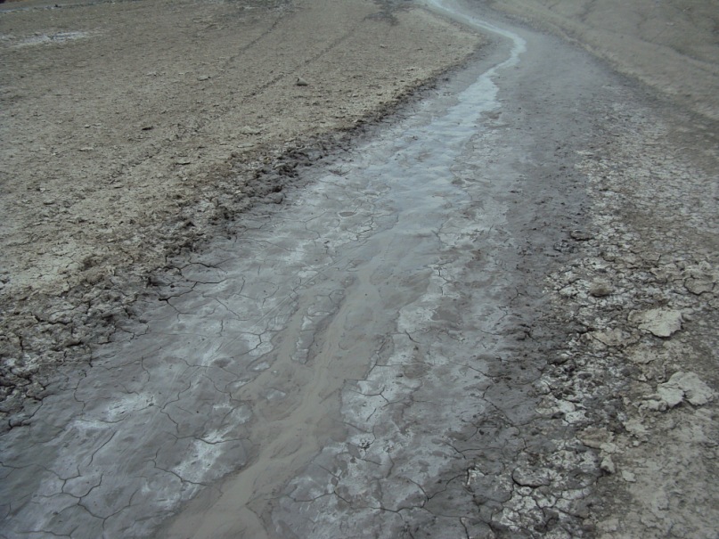 Дмитрий Ермаков фотография #22