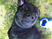 Фотография Лаптевой Натальи