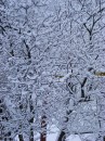 Сергій Мороз фотография #10 (источник - https://vk.com/id21135833)