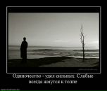 Андрей Лермонтов фотография #33 (источник - https://vk.com/id3879905)