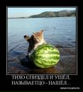 Фотография Крыловецкой Тани