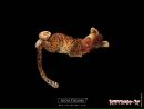 Ольга Бєлозьорова фотография #3 (источник - https://vk.com/id18923718)