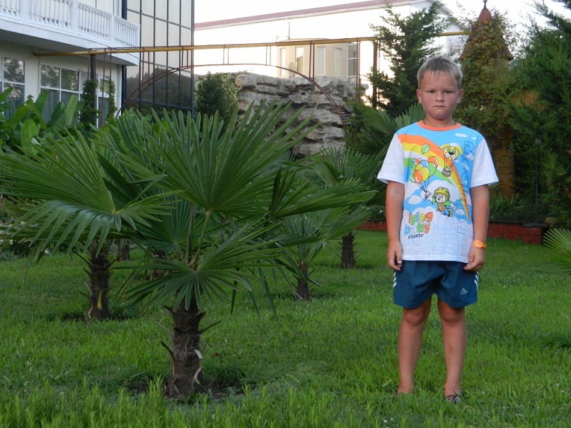Александр Плотников фотография #23
