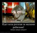 Фотография Пантелеевой Анны