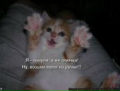 Фотография Желтовой Кристины