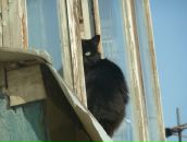 Фотография Кочетовой Марии