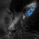 Фотография Томиловой Ольги