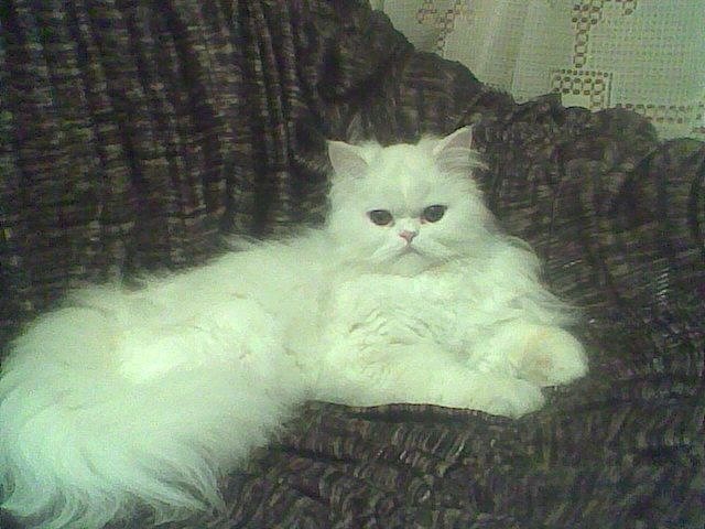 Дмитрий Немец фотография #18