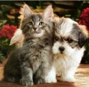 Юлія Мартинюк фотография #3 (источник - https://vk.com/id151246989)