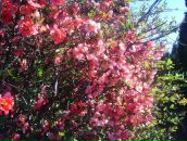 Ірина Панічева фотография #48 (источник - https://vk.com/id67275749)