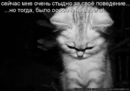 Фотография Кахниашвили Тамары