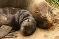 Фотография Демковой Елены