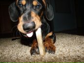 Paul Batalko фотография #29 (источник - https://vk.com/id963995)