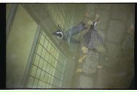 Дмтр Мксмв фотография #33 (источник - https://vk.com/id628801)