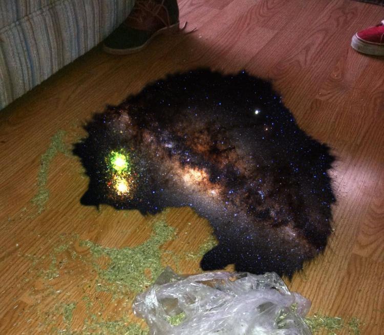 Женя Качесов фотография #19