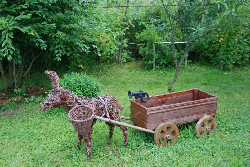 Ольга Ларькина фотография #4