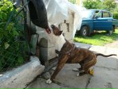 Андрій Горак фотография #43 (источник - https://vk.com/id50410921)