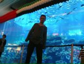 Фотография Чупина Владислава