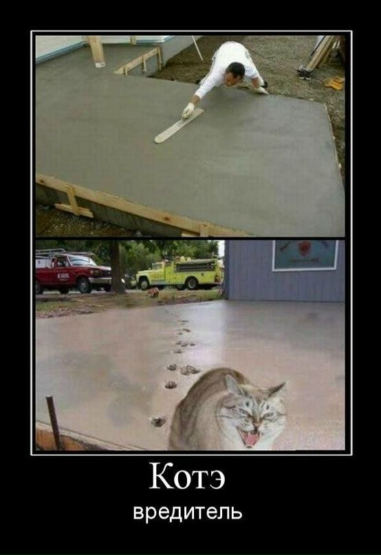 Владимир Р фотография #23