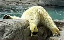 Фотография Бррррр Валентины