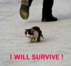 Фотография Корабеля Ивана