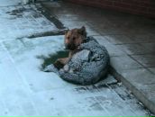 Фотография Обревко Екатерины